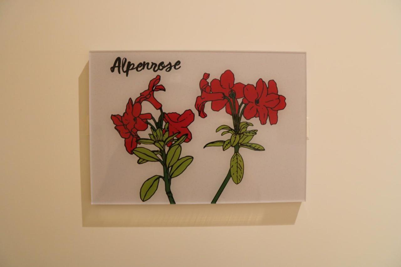 Ferienwohnungen Im Gasthof Stern Inklusive Koenigscard อุนเทอร์อัมเมอร์เกา ภายนอก รูปภาพ