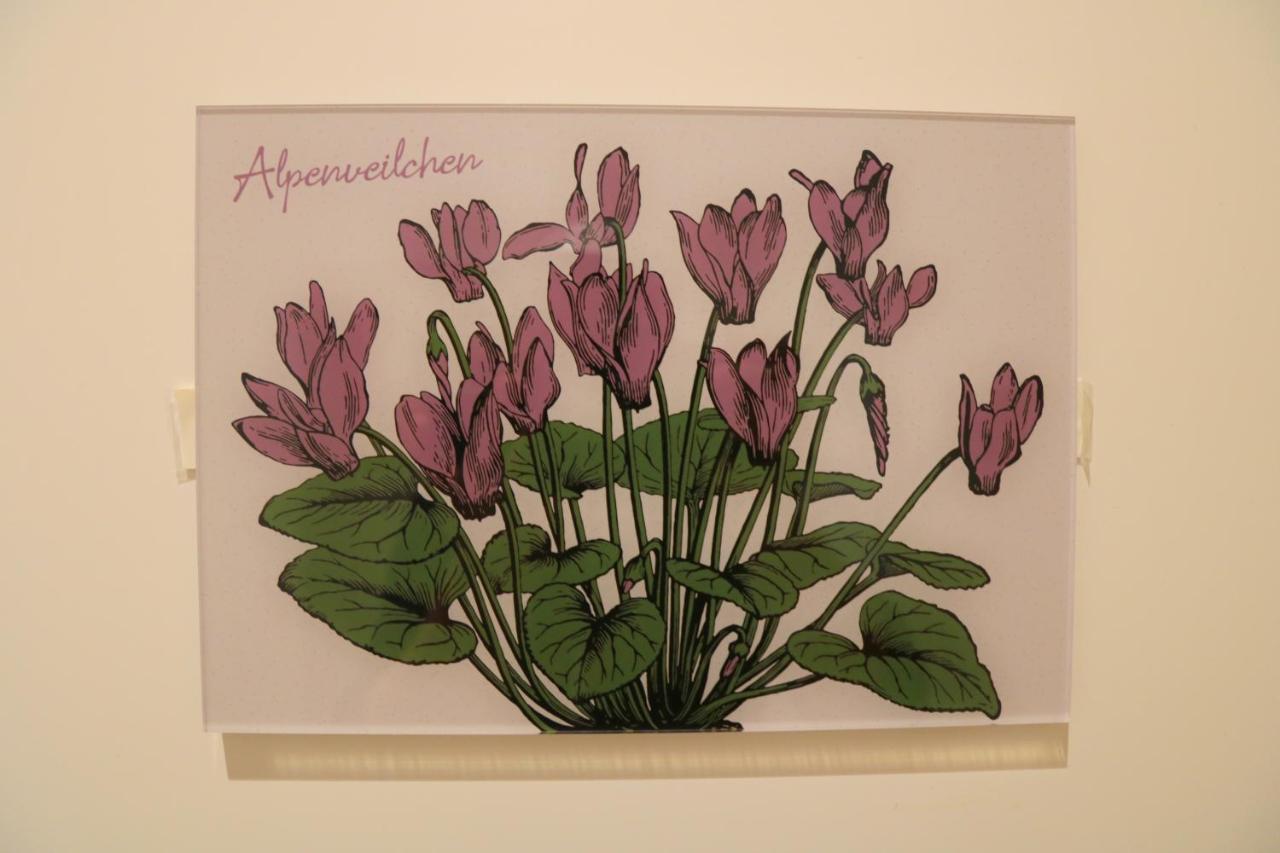 Ferienwohnungen Im Gasthof Stern Inklusive Koenigscard อุนเทอร์อัมเมอร์เกา ภายนอก รูปภาพ